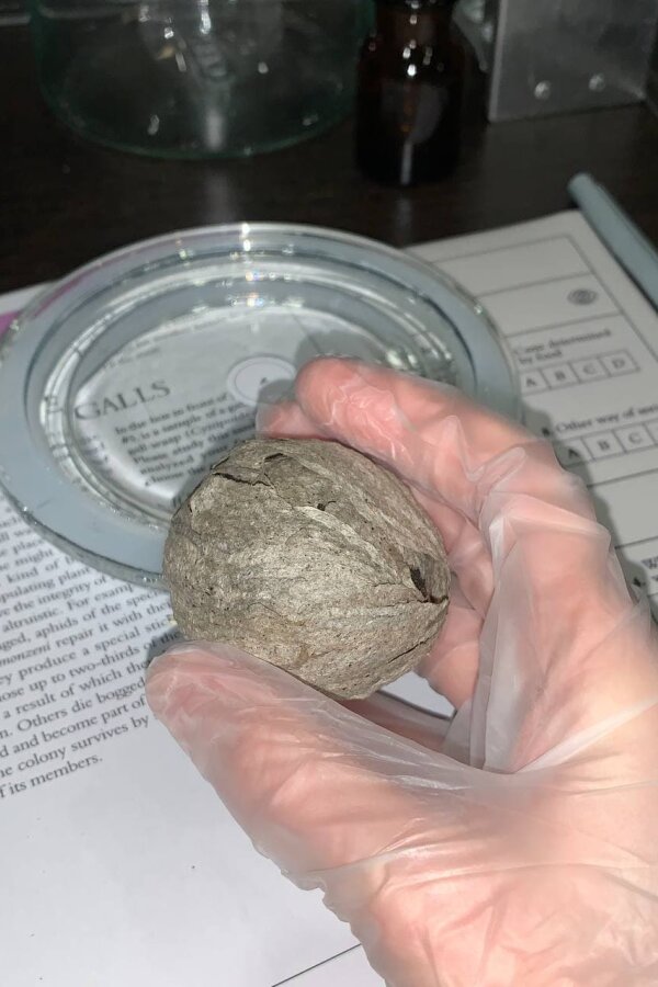 TADI, 2021. In collaboration with Alisa Smorodina at the Garage Museum of Contemporary Art. Photo: Garage Museum